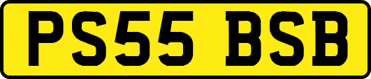 PS55BSB