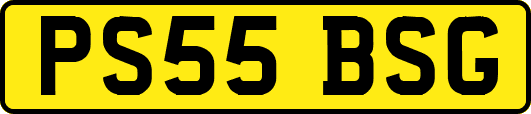 PS55BSG