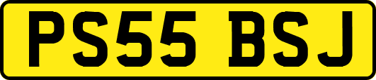 PS55BSJ