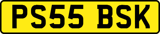 PS55BSK