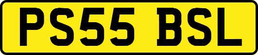 PS55BSL