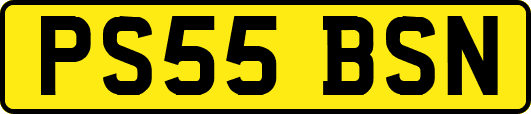 PS55BSN