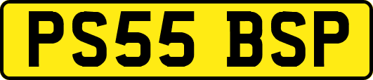 PS55BSP