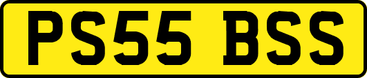 PS55BSS