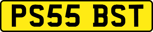 PS55BST