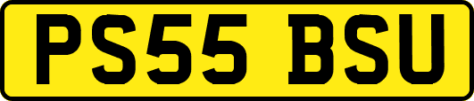 PS55BSU