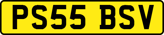 PS55BSV