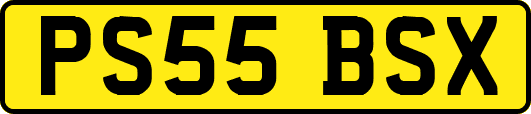 PS55BSX