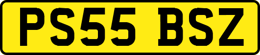 PS55BSZ
