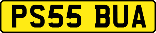 PS55BUA