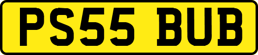 PS55BUB
