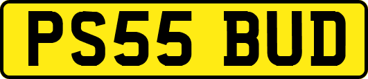 PS55BUD