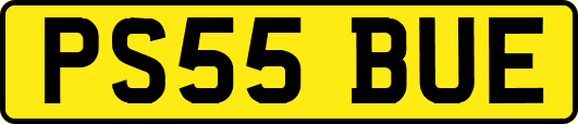 PS55BUE