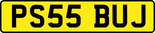 PS55BUJ