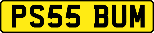 PS55BUM