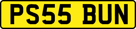 PS55BUN