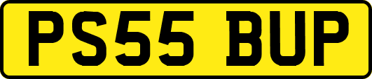 PS55BUP