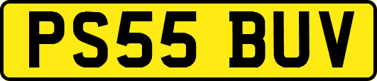 PS55BUV