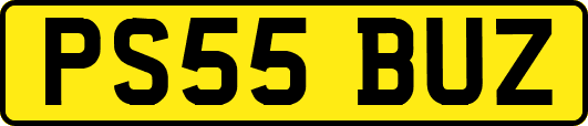 PS55BUZ