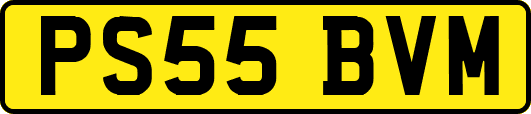 PS55BVM