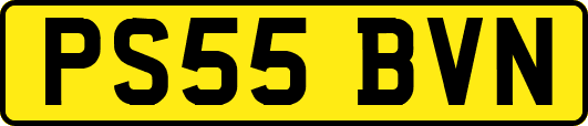 PS55BVN