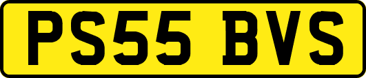 PS55BVS