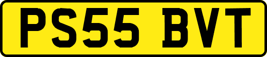 PS55BVT