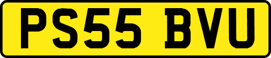 PS55BVU