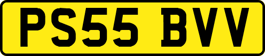 PS55BVV