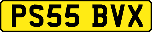 PS55BVX