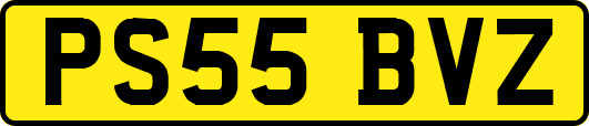 PS55BVZ