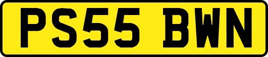 PS55BWN