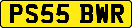 PS55BWR