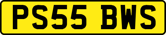 PS55BWS