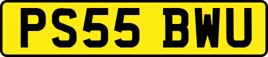 PS55BWU