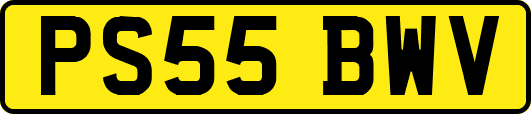 PS55BWV