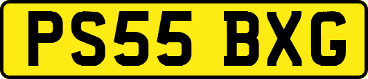 PS55BXG