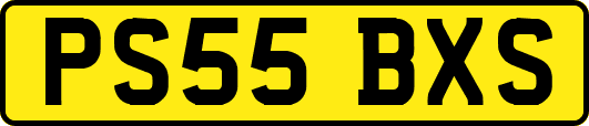 PS55BXS