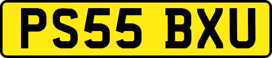 PS55BXU