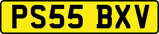 PS55BXV