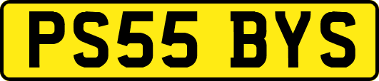 PS55BYS