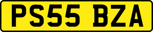 PS55BZA