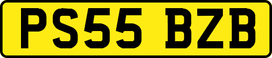 PS55BZB
