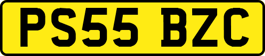 PS55BZC