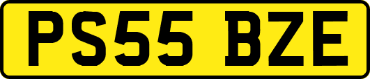 PS55BZE