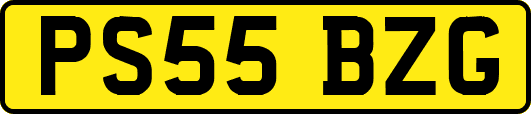 PS55BZG