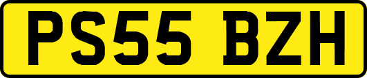 PS55BZH