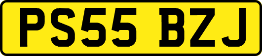 PS55BZJ