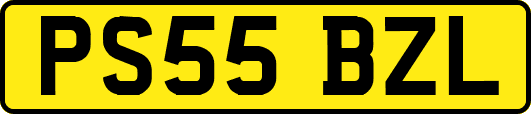 PS55BZL