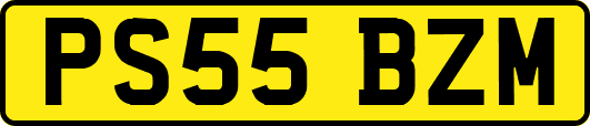 PS55BZM